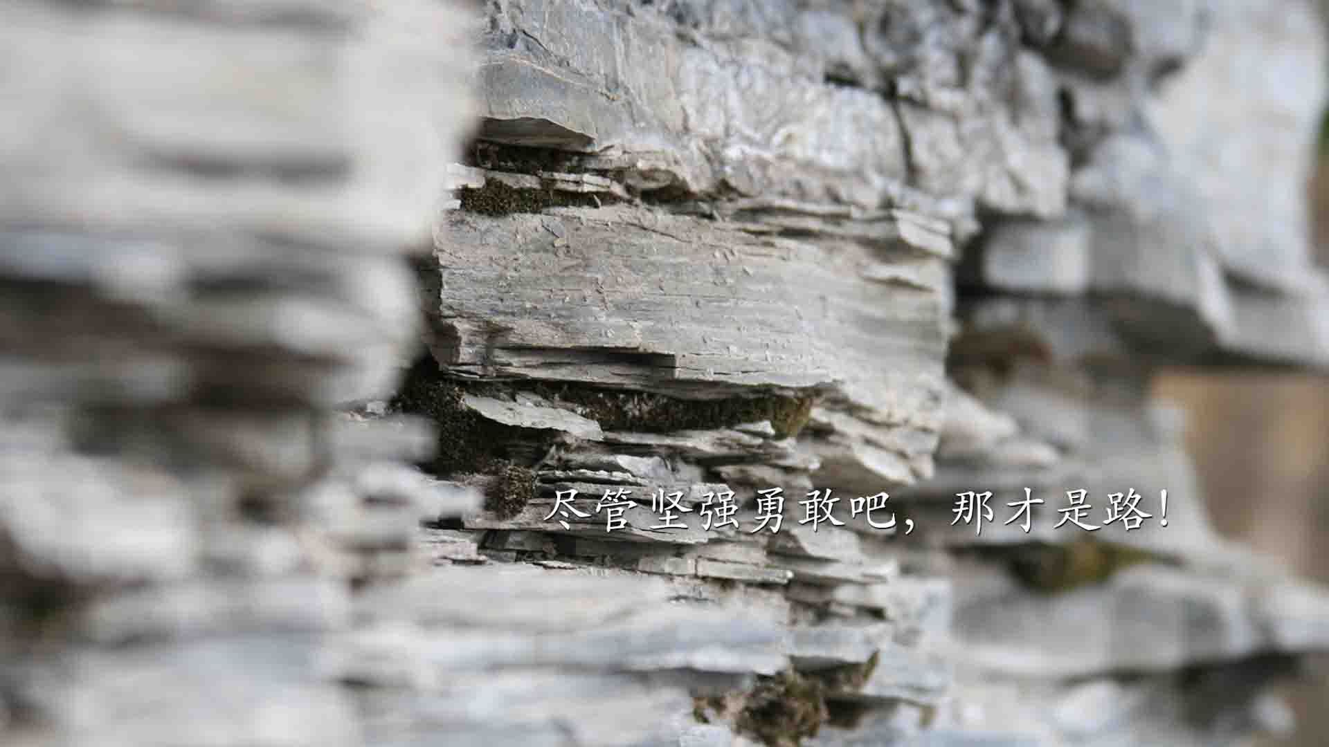 VALORANT 战队阵容优化进行中，valorant战绩